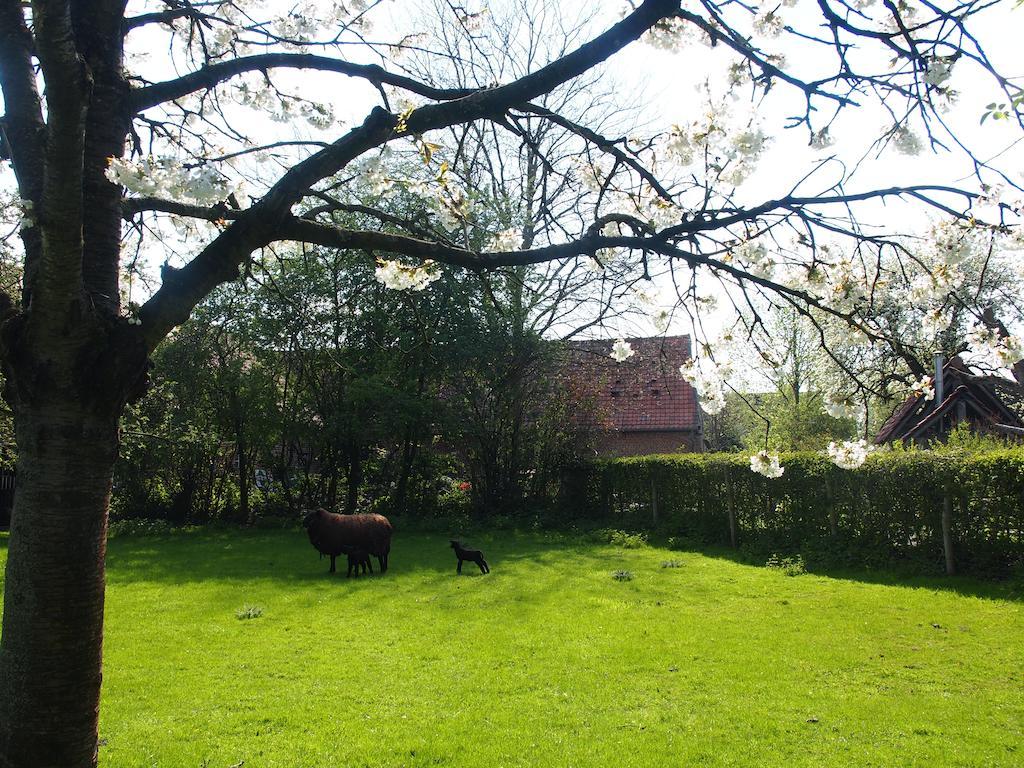 Grote Goesting Holiday House Wevelgem Esterno foto